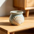 Mini Ceramic Flower Pot with Seashell Design